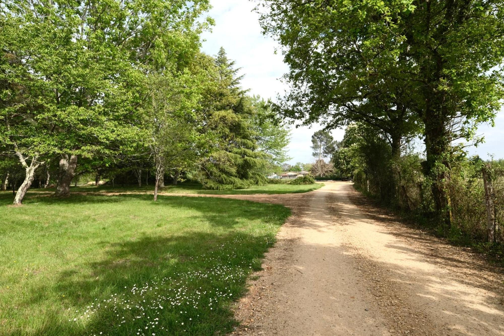 Les De Lara Ménesplet