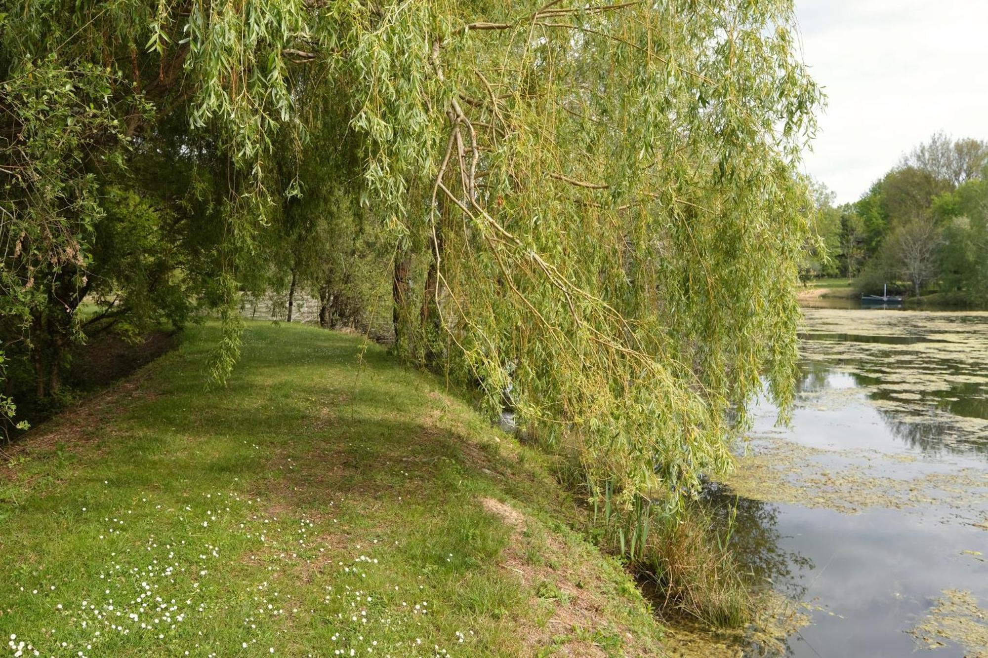 Les De Lara * Ménesplet